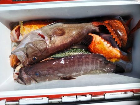 康仁丸・ジギング釣り果